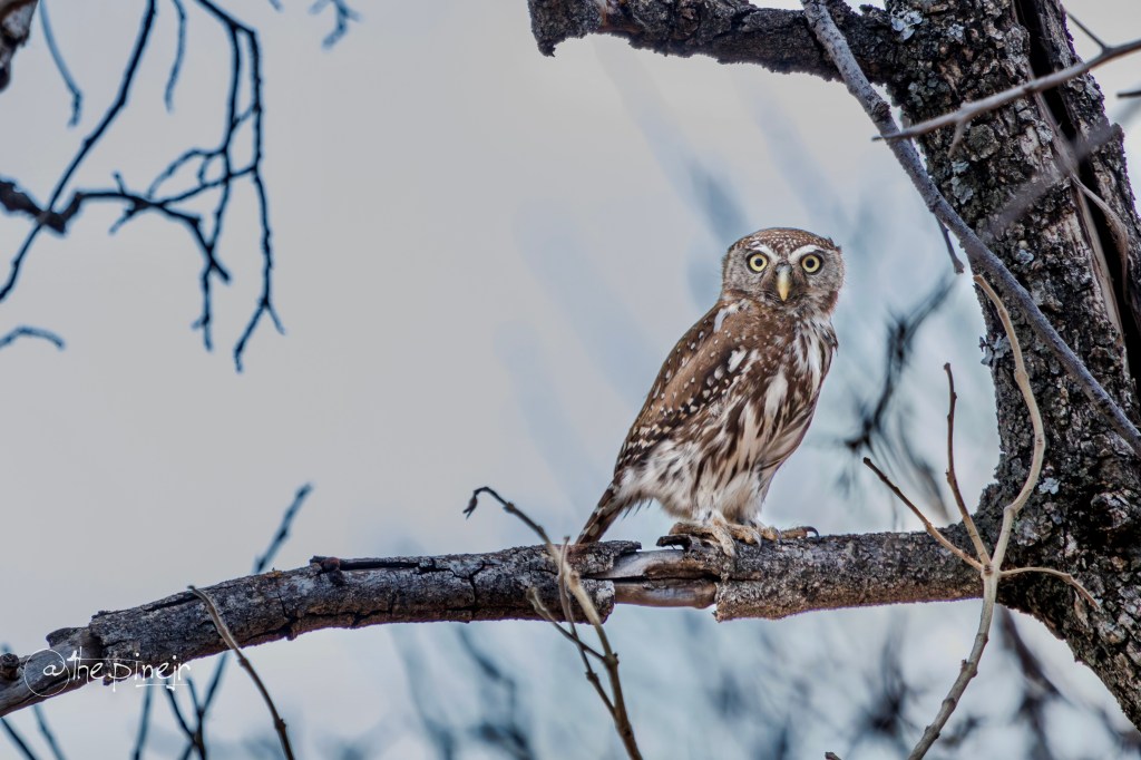 The Pearl Of&nbsp;Mooihoek