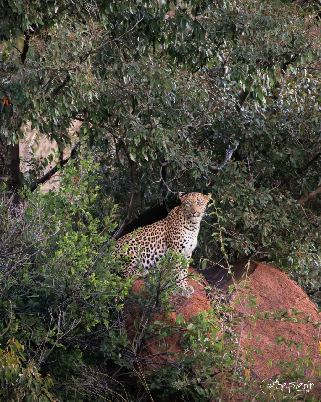 A Month in a&nbsp;Week