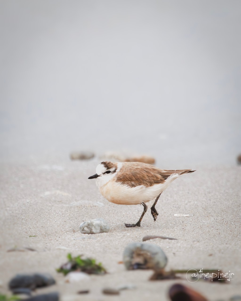 Chapter 1: Namibia – Where Steve Hofmeyr Stole My Ride and Salt Air Messed With My&nbsp;Mind