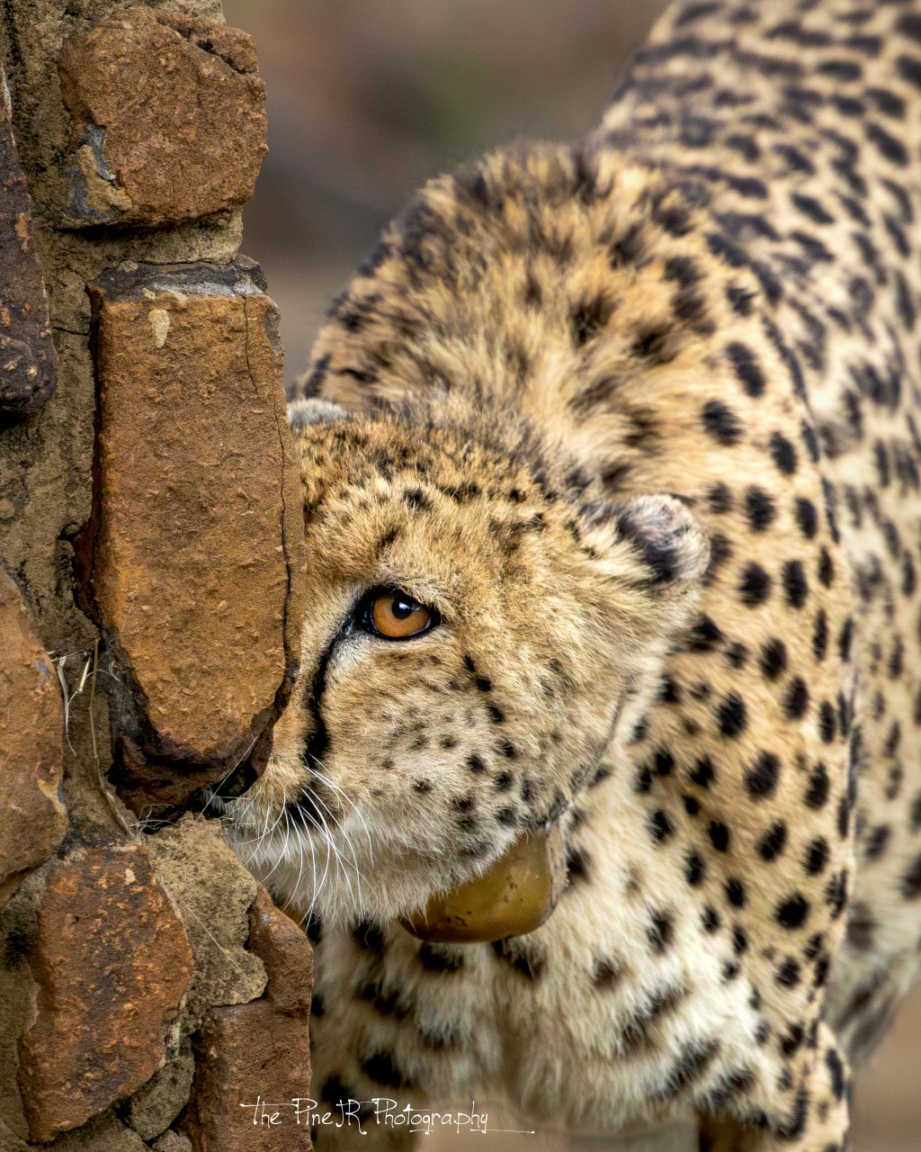 Back in the Rhythm of&nbsp;Things