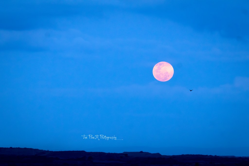 Another Pointless Write-Up – Vol.&nbsp;8